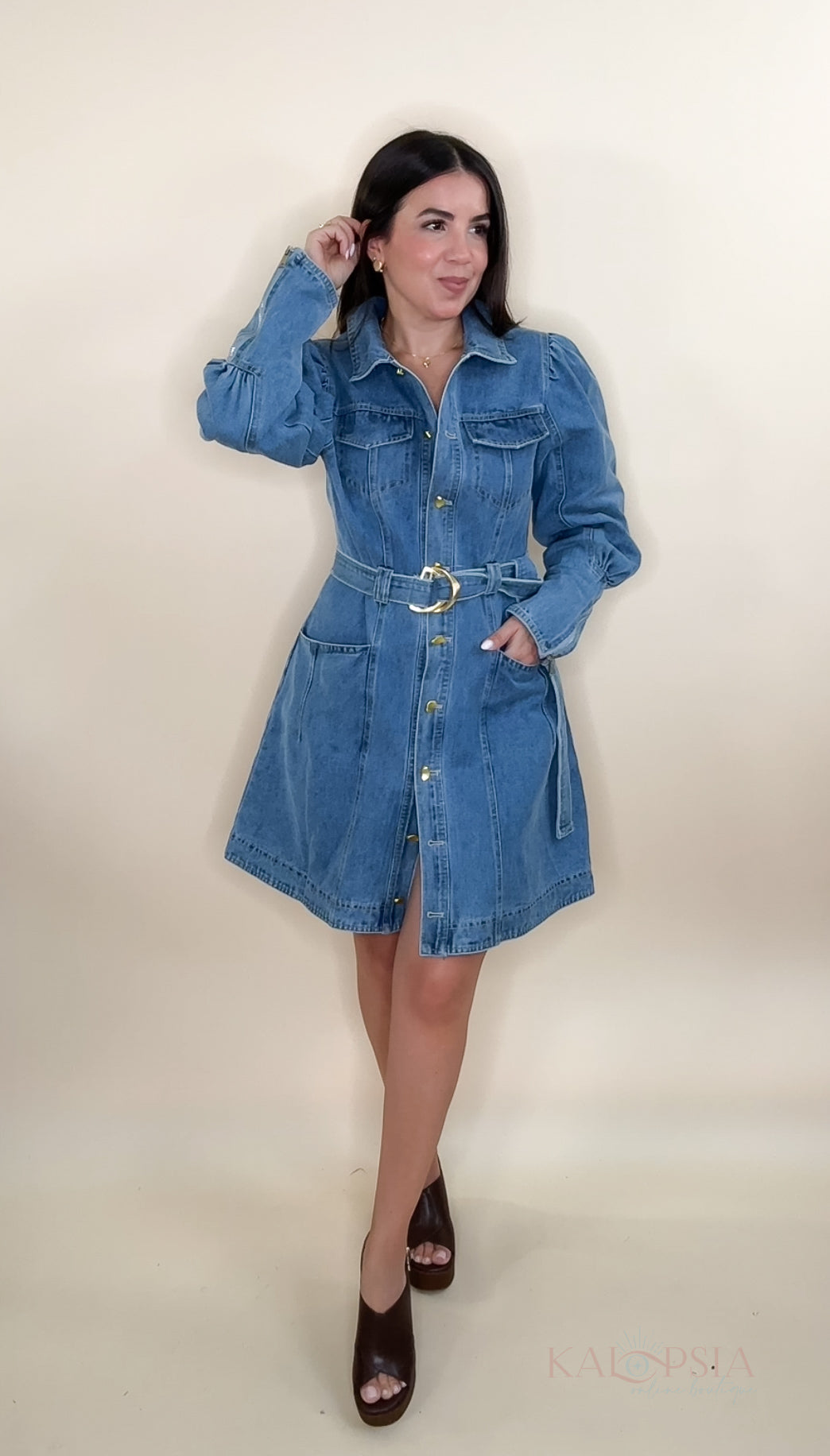 Karola Denim Dress